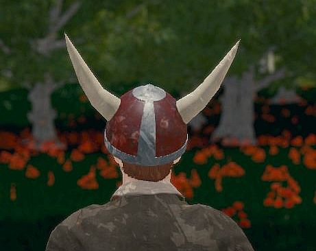 Hide and Seek - Viking Hat