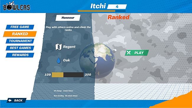 Bowlers : The bowling experience