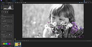 CyberLink PhotoDirector 8 Deluxe