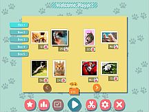 1001 Jigsaw. Cute Cats