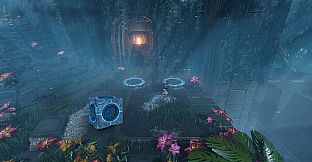 Joe Wander and the Enigmatic adventures