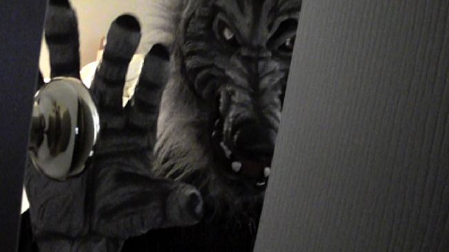 One Night You're Crazy