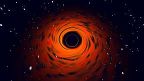 Black Hole Simulator
