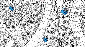 100 hidden Cats : Pirates