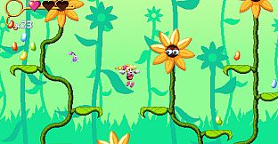 Connie and the Essence of Chaos