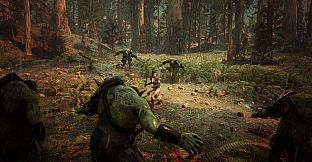 Archer: The Witch's Wrath