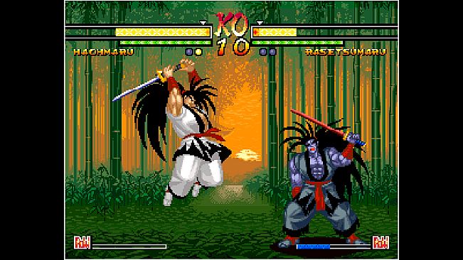 ACA NEOGEO SAMURAI SHODOWN V