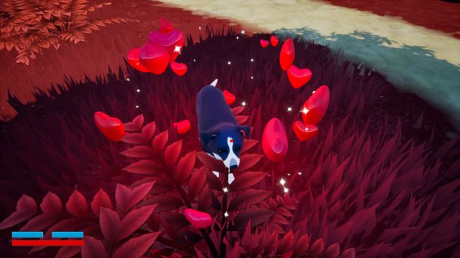 Raining Cats and Dogs