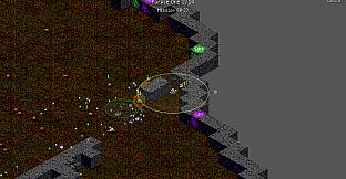 Dig Survivors
