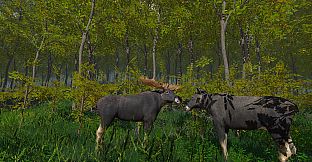 Hunter Simulator VR : Wild Hunting