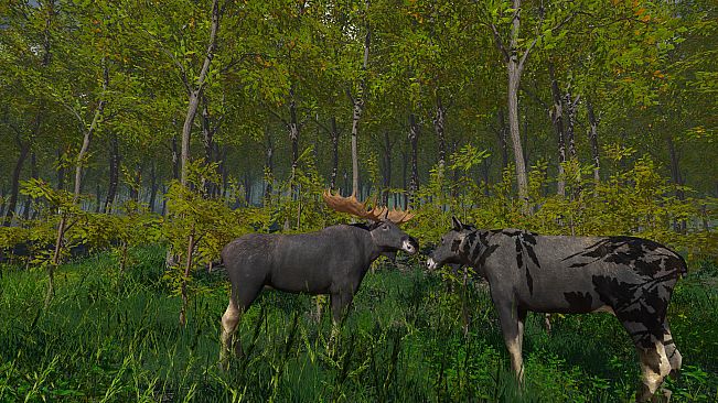 Hunter Simulator VR : Wild Hunting