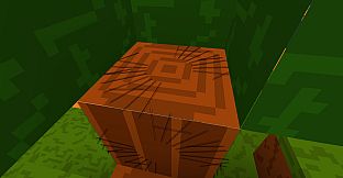 Cubical World