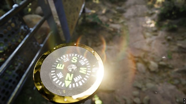 Misty Onsen - Golden Compass Supporter Pack