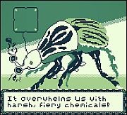 LesbiAnts - Our New Morphology