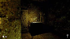 The Prisoner in Letter