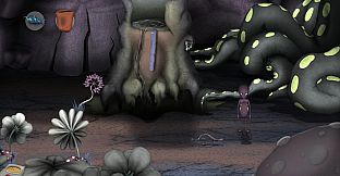 non - The First Warp