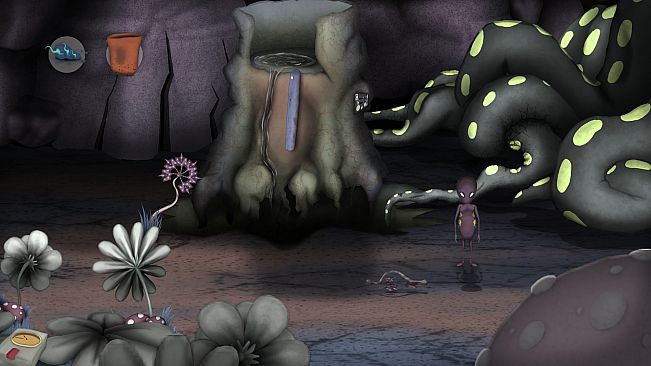 non - The First Warp