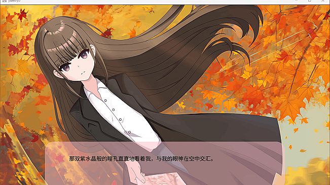 Serene Night Dreamlight