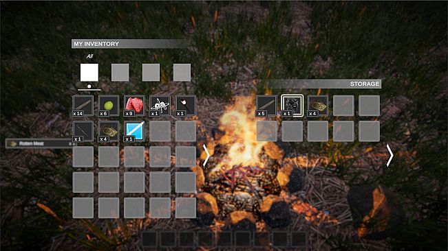 PROJECT D : Human Risen