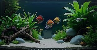 My Beautiful Aquarium