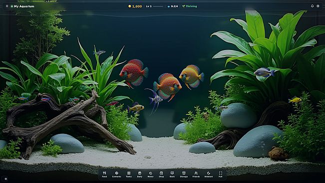 My Beautiful Aquarium