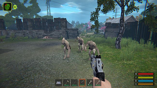 Dead World: Survival