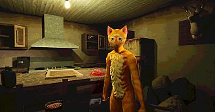 Cat Named Mojave