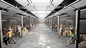 Diagnosis: No Answer