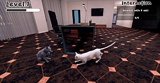 The Office Cat
