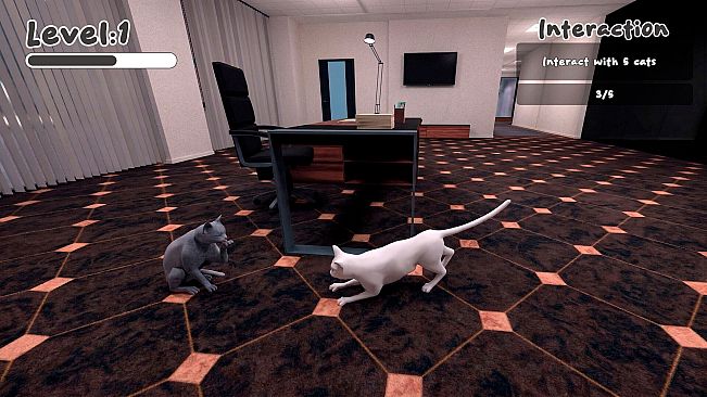 The Office Cat