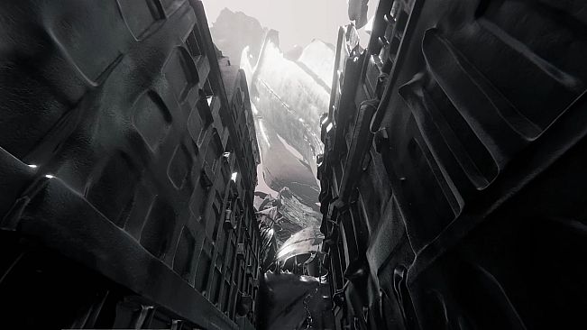 The Signifier Director's Cut