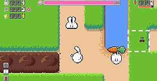 Bunny Colony