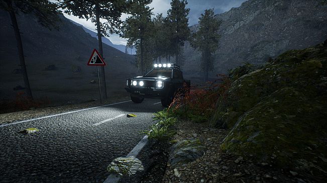 Escape the Scam Compound