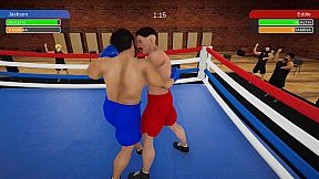 Boxing Simulator