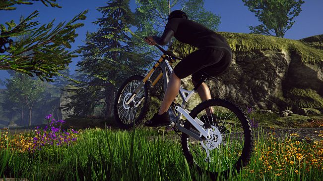 Bicycle Rider Simulator
