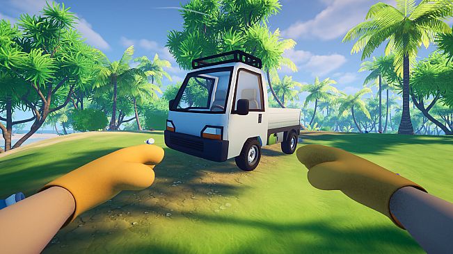 Cozy Island Cleaner