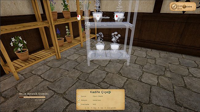 Maria IV: A Cozy Botanical Sim