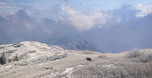 theHunter: Call of the Wild - Sundarpatan Nepal Hunting Reserve - Windows 10