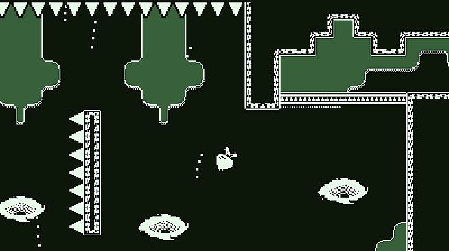 Tiny Turnip DX