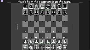 Chess Visualized