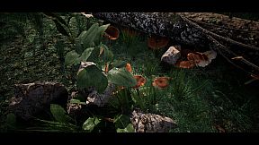 Soilborn: Ant Empire