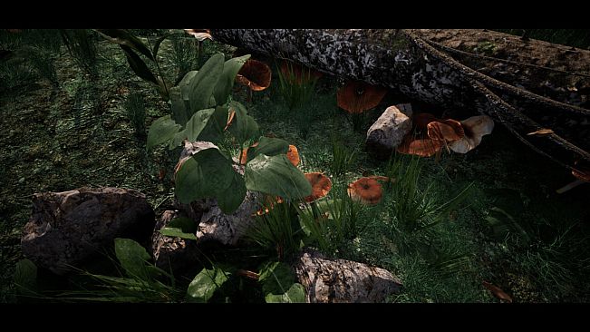 Soilborn: Ant Empire