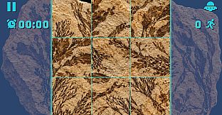 Puzzle Fossils