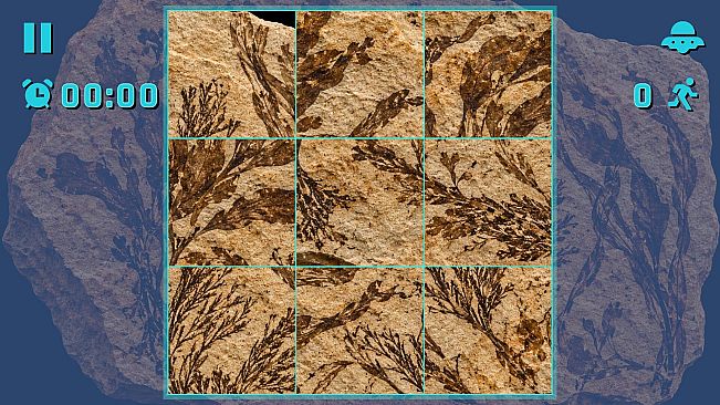 Puzzle Fossils