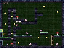 Ginger Shroom Journey