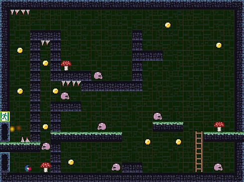 Ginger Shroom Journey