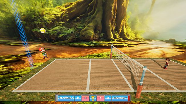 Funny Volleyball