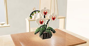blockia