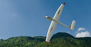 RealFlight Evolution - Tower Hobbies ASW-28