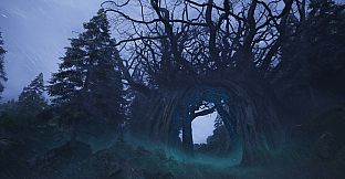 The Vanishing Memories